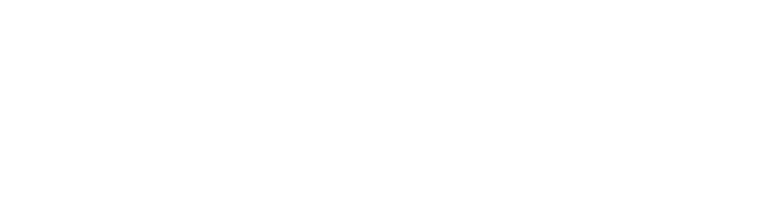 ami france